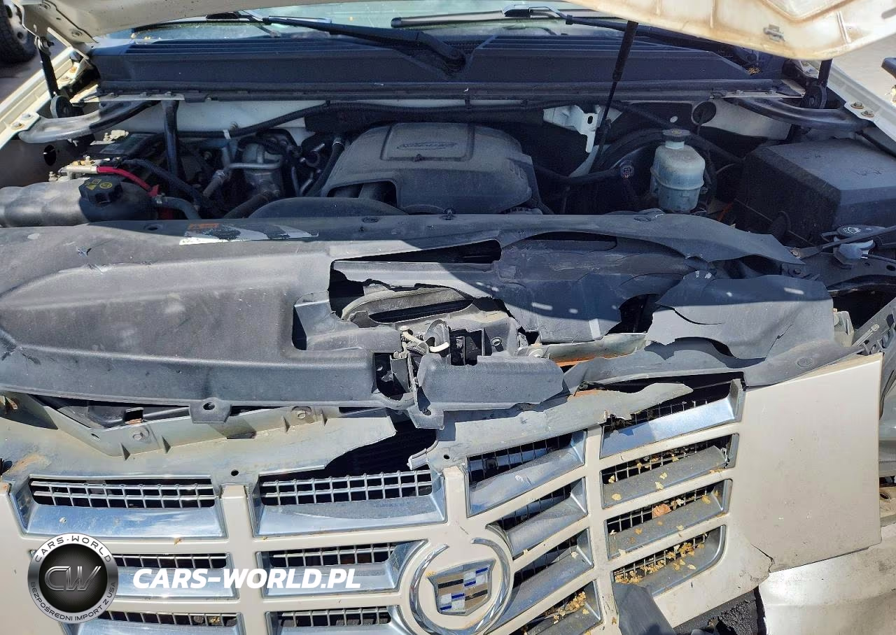 2011 Cadillac Escalade VIN:1GYS4AEFXBR329913 - 12