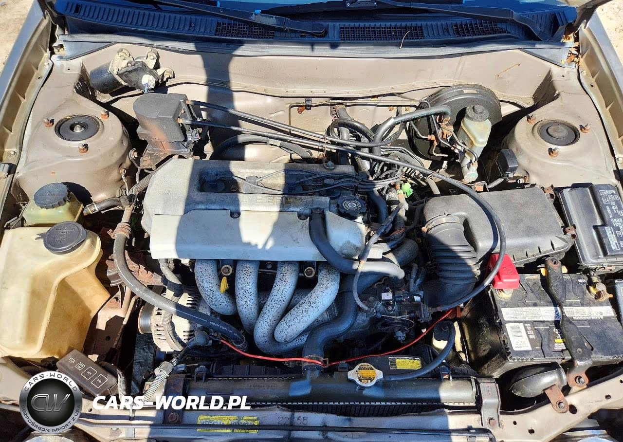 1999 Toyota Corolla Ve VIN:2T1BR12E8XC205983 - 11