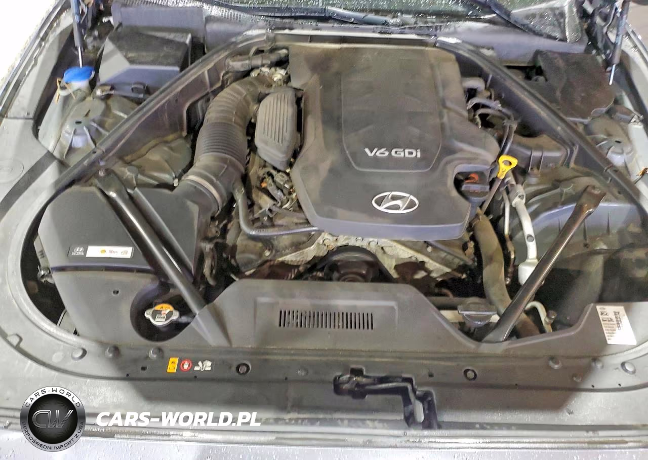2015 Hyundai Genesis 3.8L VIN:KMHGN4JE9FU018723 - 11