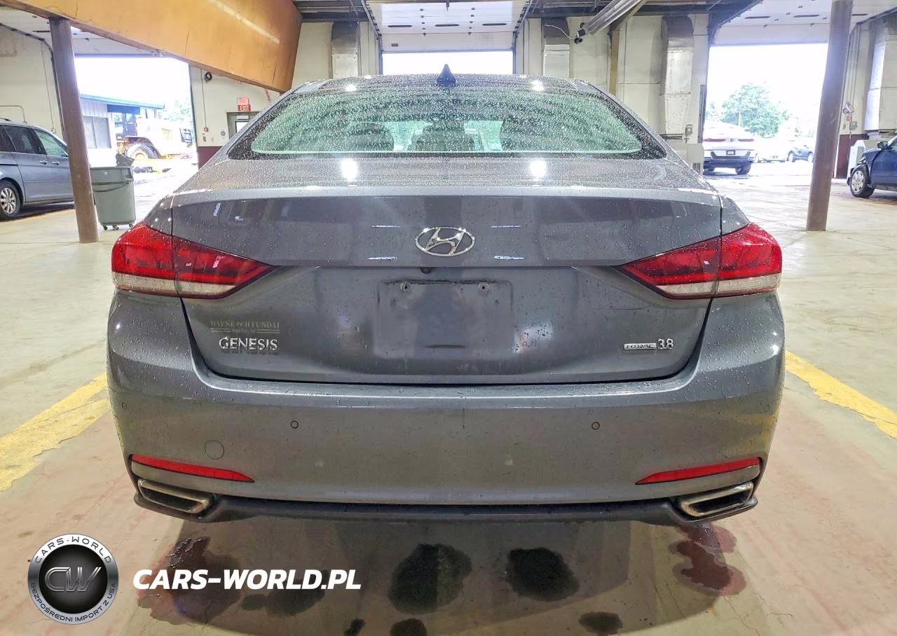 2015 Hyundai Genesis 3.8L VIN:KMHGN4JE9FU018723 - 6