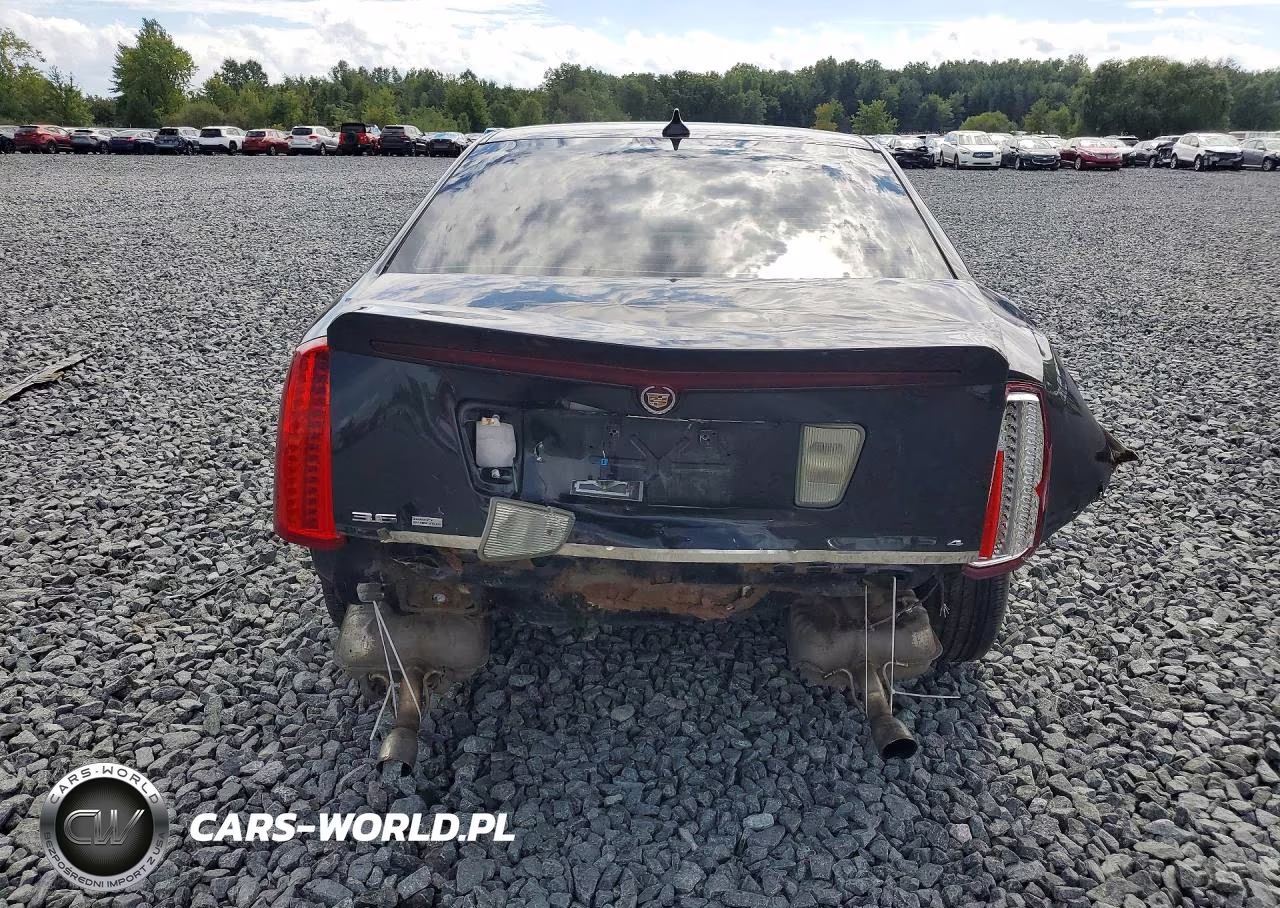 2009 Cadillac Sts VIN:1G6DD67V490108275 - 6