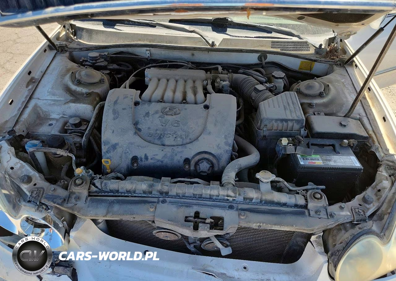2003 Hyundai Sonata Gls VIN:KMHWF35H23A878564 - 11