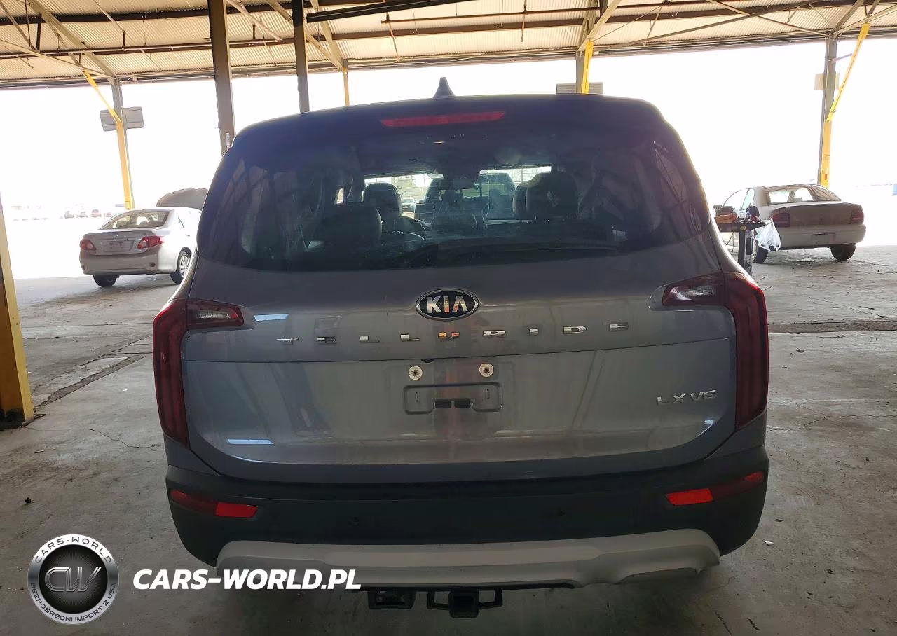 2020 Kia Telluride Lx VIN:5XYP24HC5LG026221 - 6