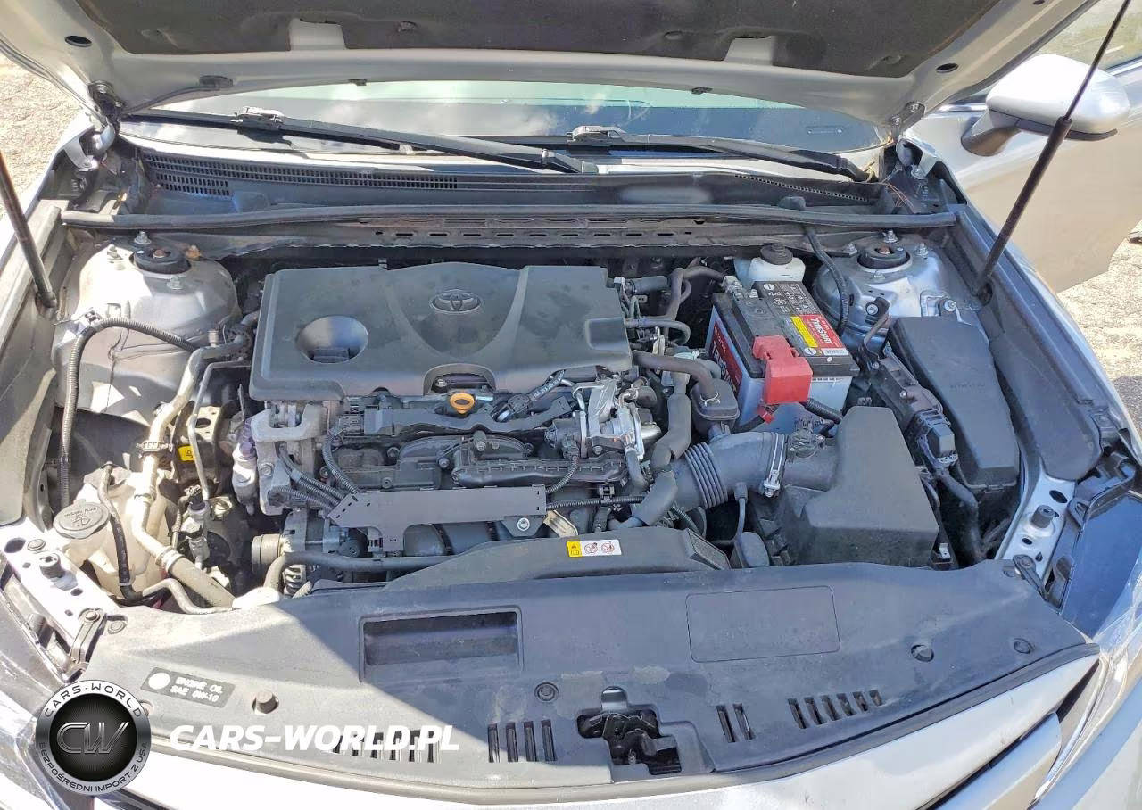 2020 Toyota Camry Le VIN:4T1C11AK8LU966623 - 11