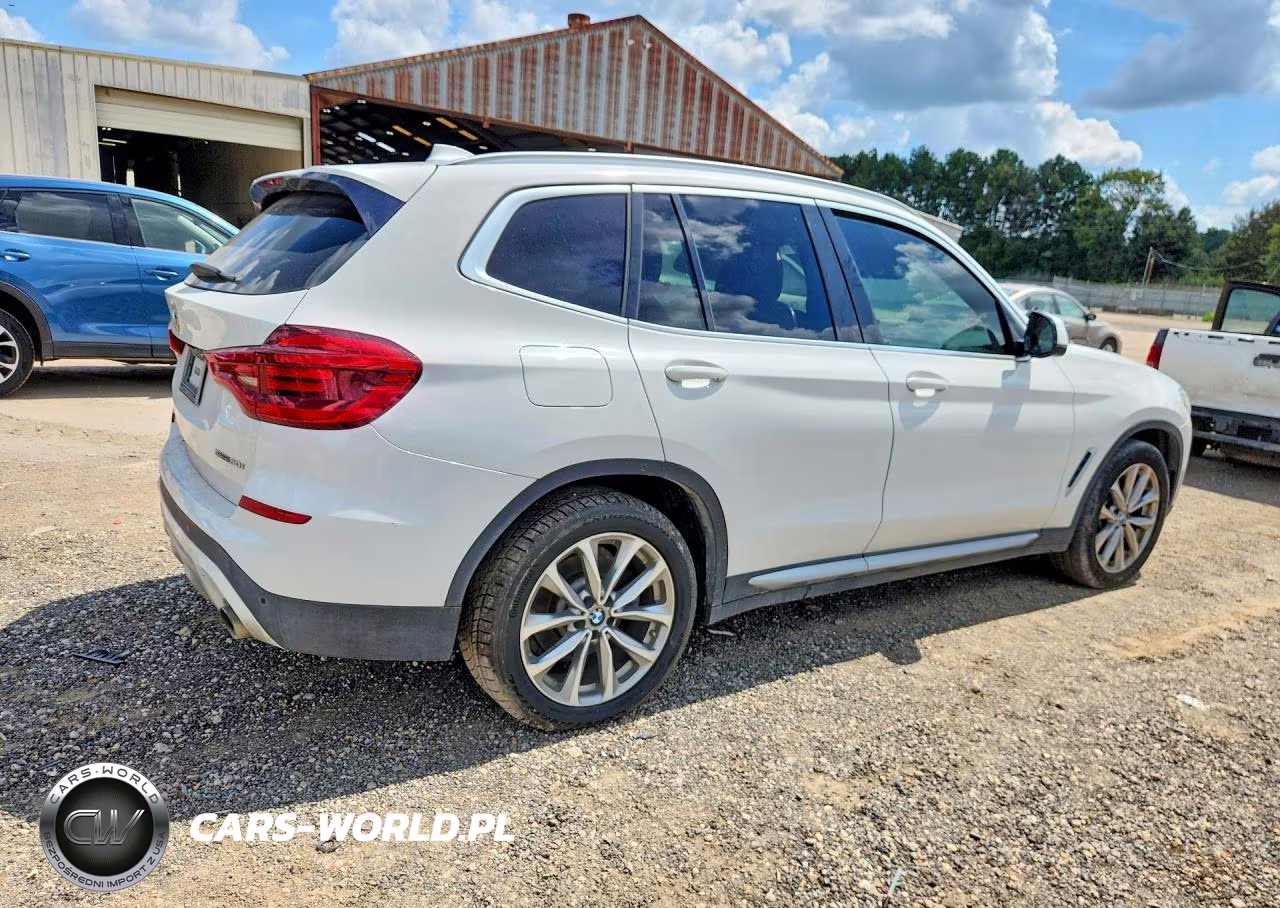 2019 BMW X3 Sdrive30I VIN:5UXTR7C54KLE94093 - 3