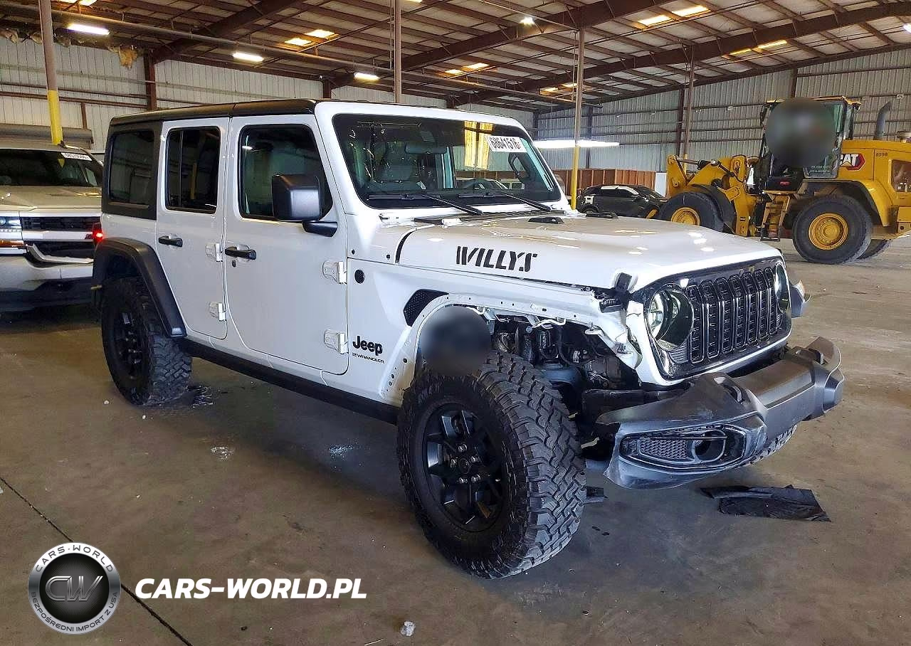 2024 Jeep Wrangler Sport VIN:1C4PJXDG4RW356795 - 4