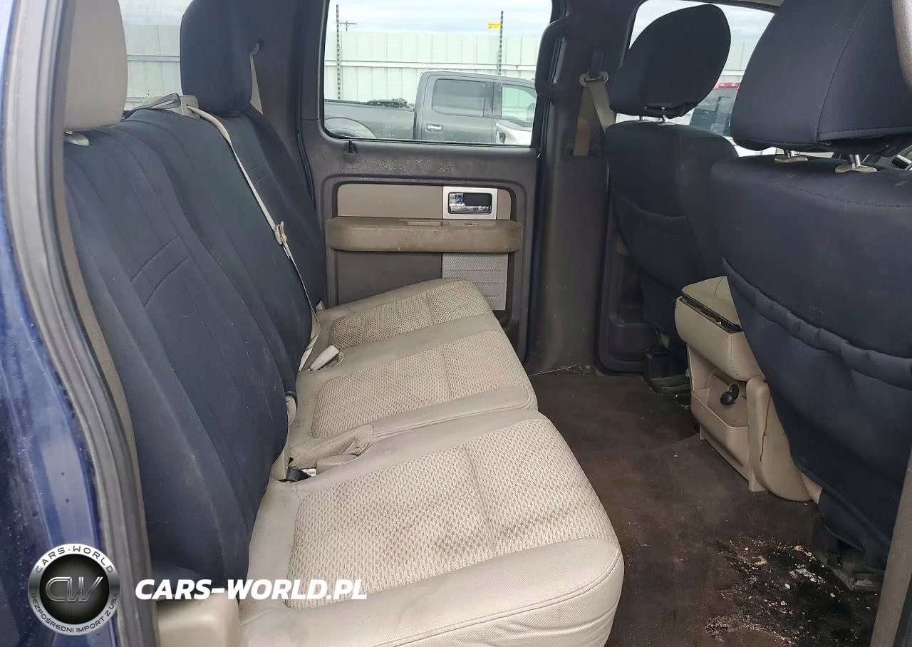 2010 Ford F150 Supercrew VIN:1FTEW1E82AFD34490 - 10