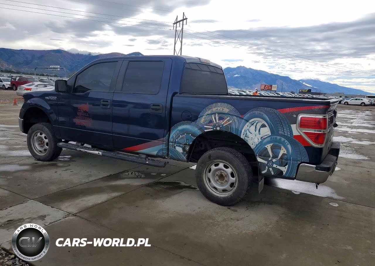 2010 Ford F150 Supercrew VIN:1FTEW1E82AFD34490 - 2