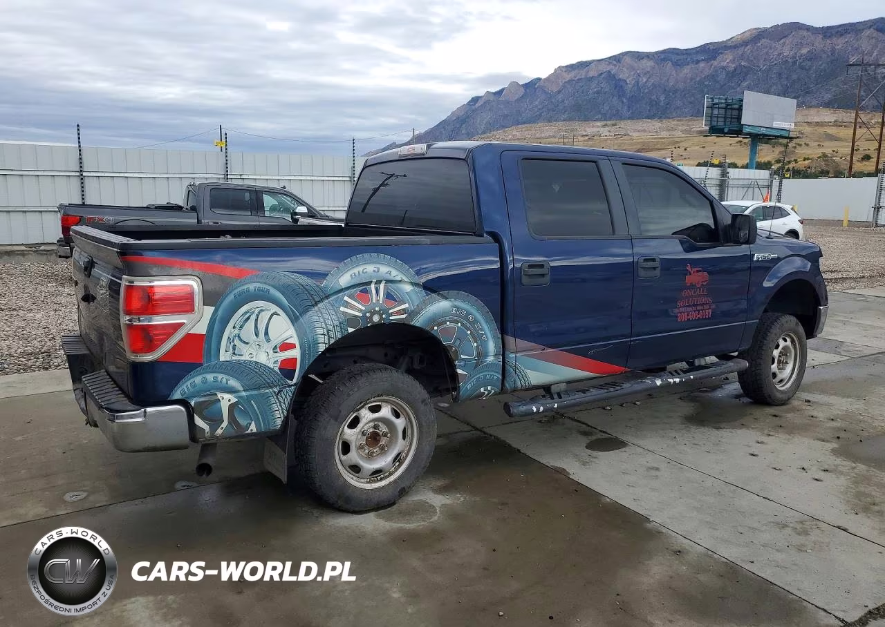 2010 Ford F150 Supercrew VIN:1FTEW1E82AFD34490 - 3