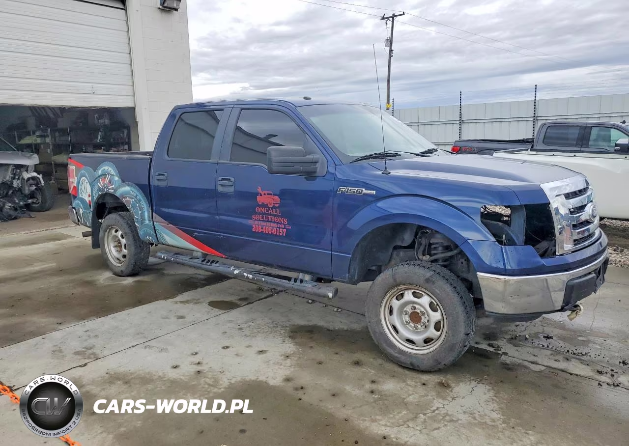 2010 Ford F150 Supercrew VIN:1FTEW1E82AFD34490 - 4
