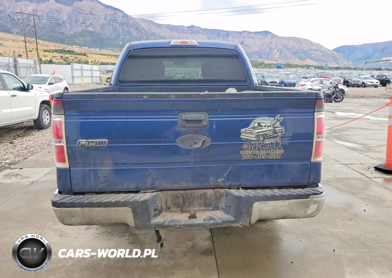 2010 Ford F150 Supercrew VIN:1FTEW1E82AFD34490 - 6