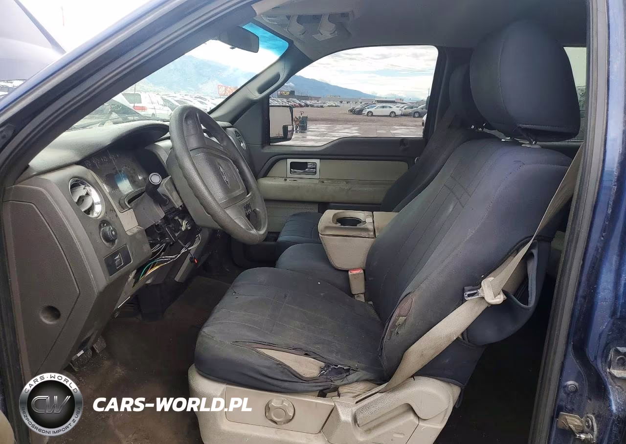 2010 Ford F150 Supercrew VIN:1FTEW1E82AFD34490 - 7