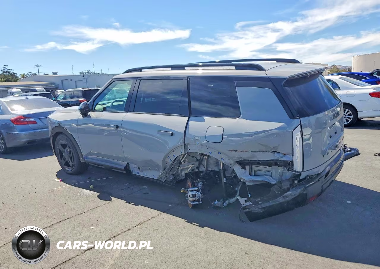 2027 Kia Telluride X-Line Sx Prestige VIN:5XYPLES19VG003859 - 2