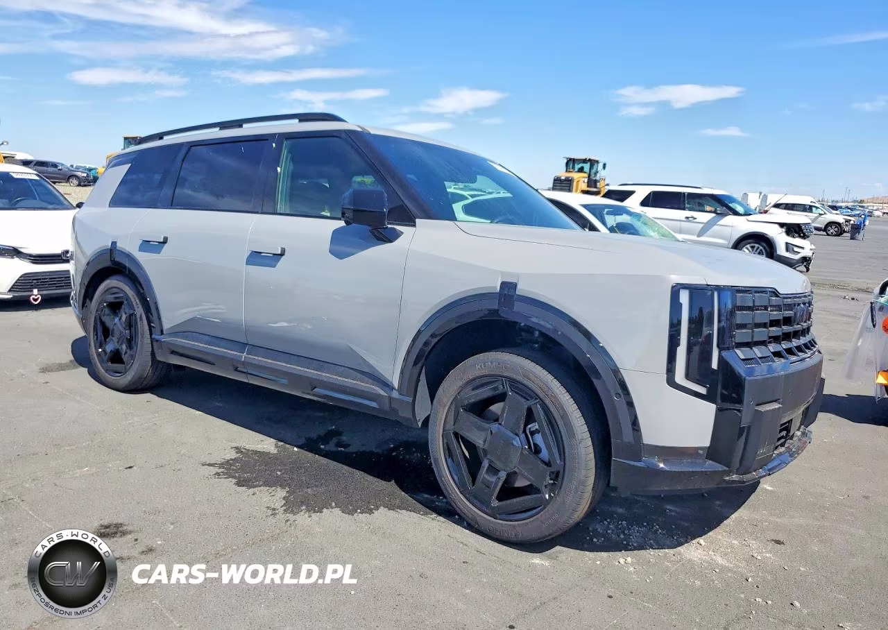 2027 Kia Telluride X-Line Sx Prestige VIN:5XYPLES19VG003859 - 4