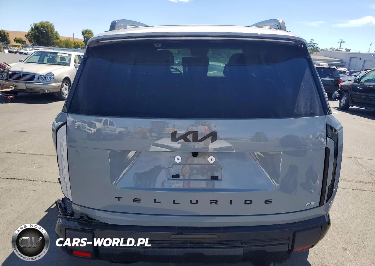 2027 Kia Telluride X-Line Sx Prestige VIN:5XYPLES19VG003859 - 6
