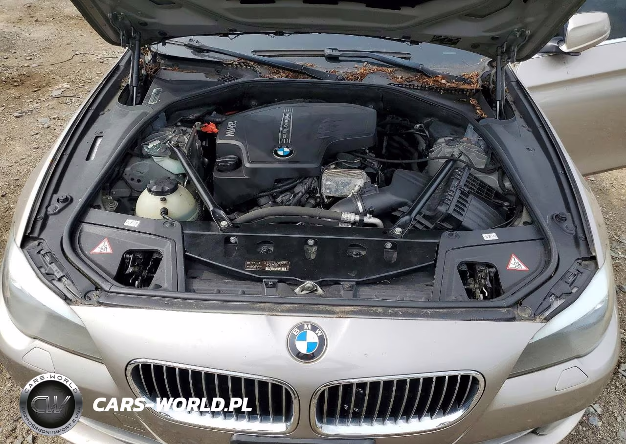 2013 BMW 528 Xi VIN:WBAXH5C57DD108848 - 11