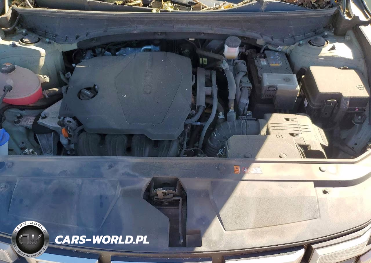 2025 Hyundai Santa Cruz Sel Activity VIN:5NTJCDDE1SH134306 - 11