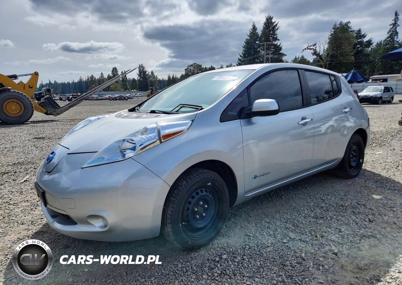 2013 Nissan Leaf S VIN:1N4AZ0CP5DC400116 - 1