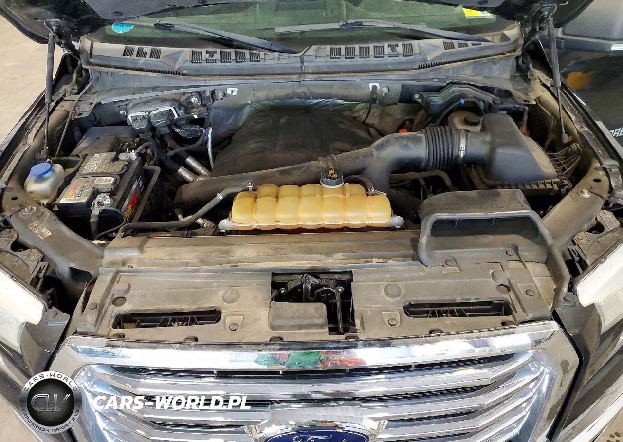 2015 Ford F150 Supercrew VIN:1FTEW1EG8FFC10190 - 11