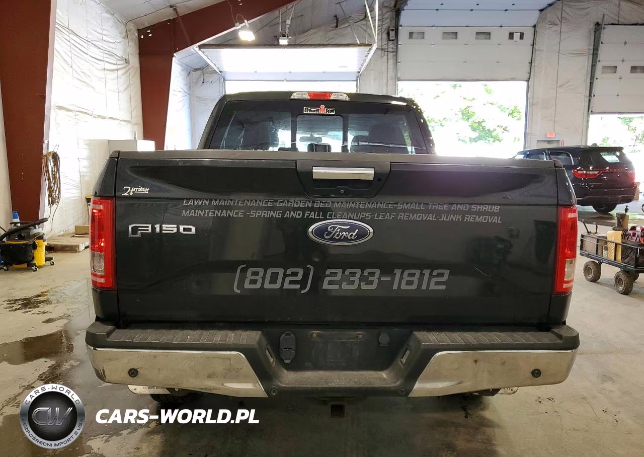 2015 Ford F150 Supercrew VIN:1FTEW1EG8FFC10190 - 6