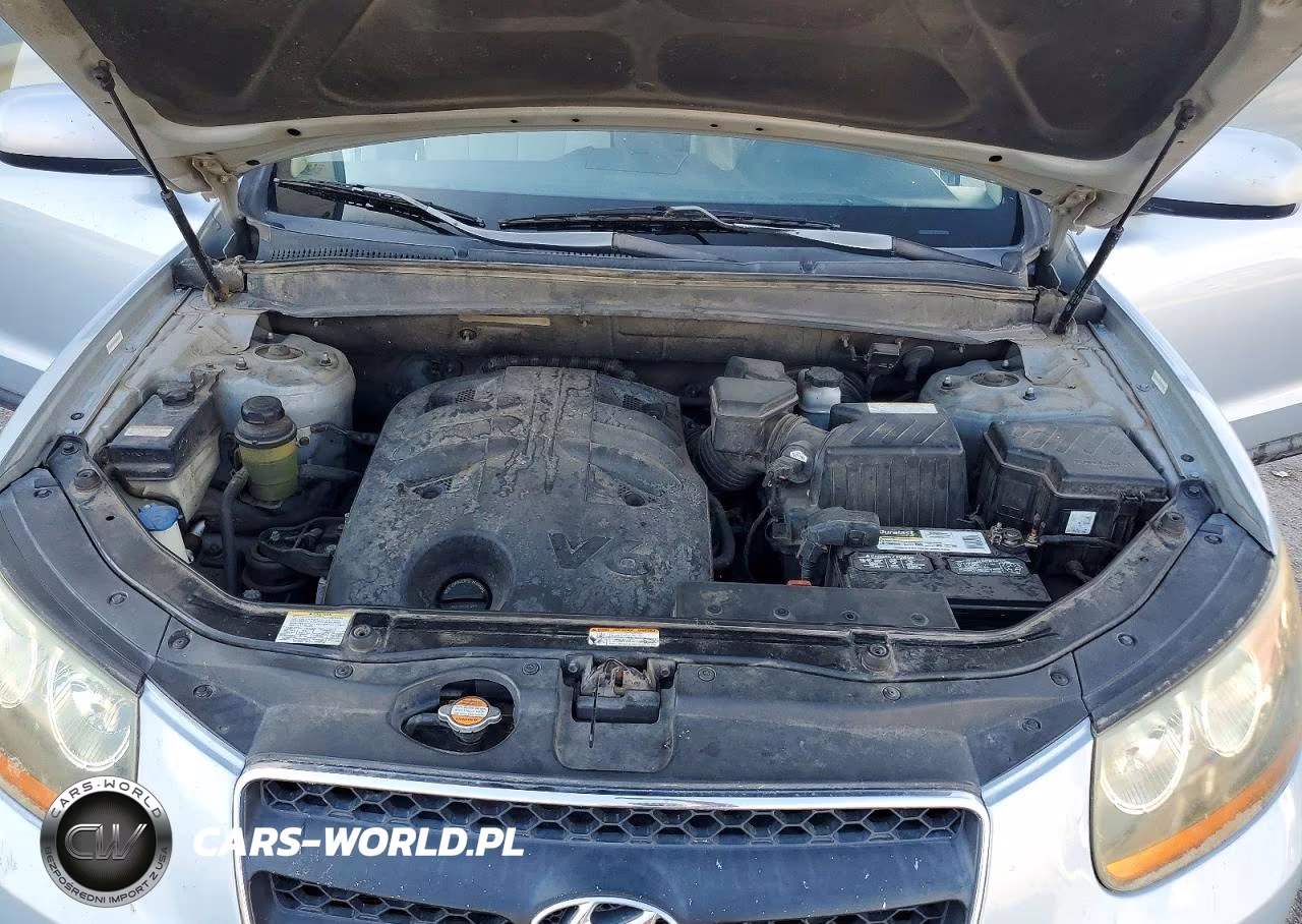 2008 Hyundai Santa Fe Se VIN:5NMSH13E28H208388 - 11