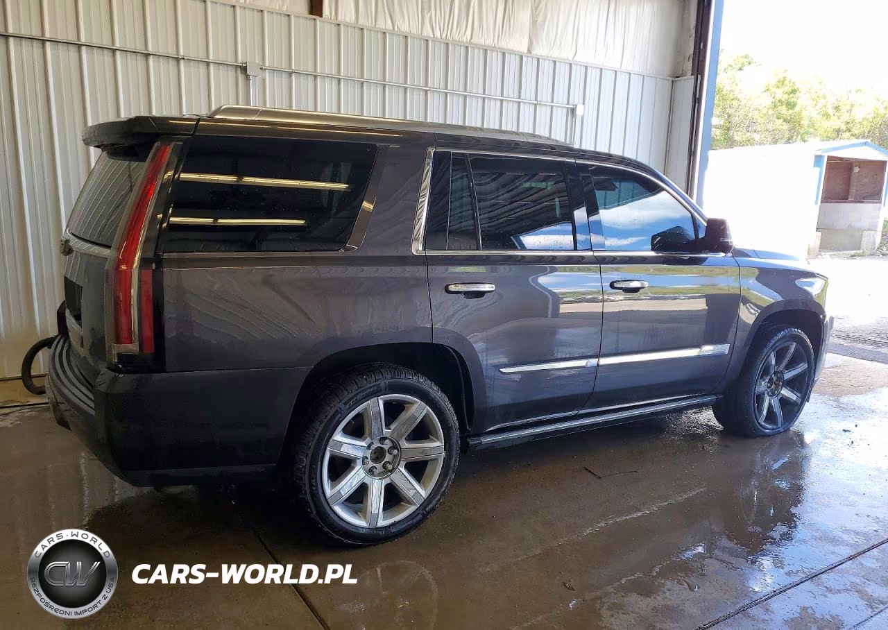 2015 Cadillac Escalade Premium VIN:1GYS4NKJ3FR515539 - 3