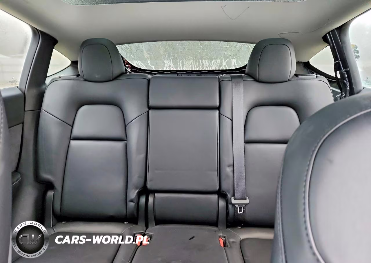 2024 Tesla Model Y VIN:7SAYGAEE4RF986398 - 10