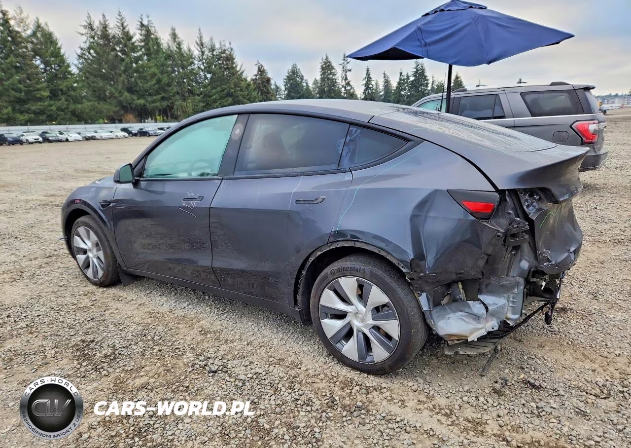 2024 Tesla Model Y VIN:7SAYGAEE4RF986398 - 2