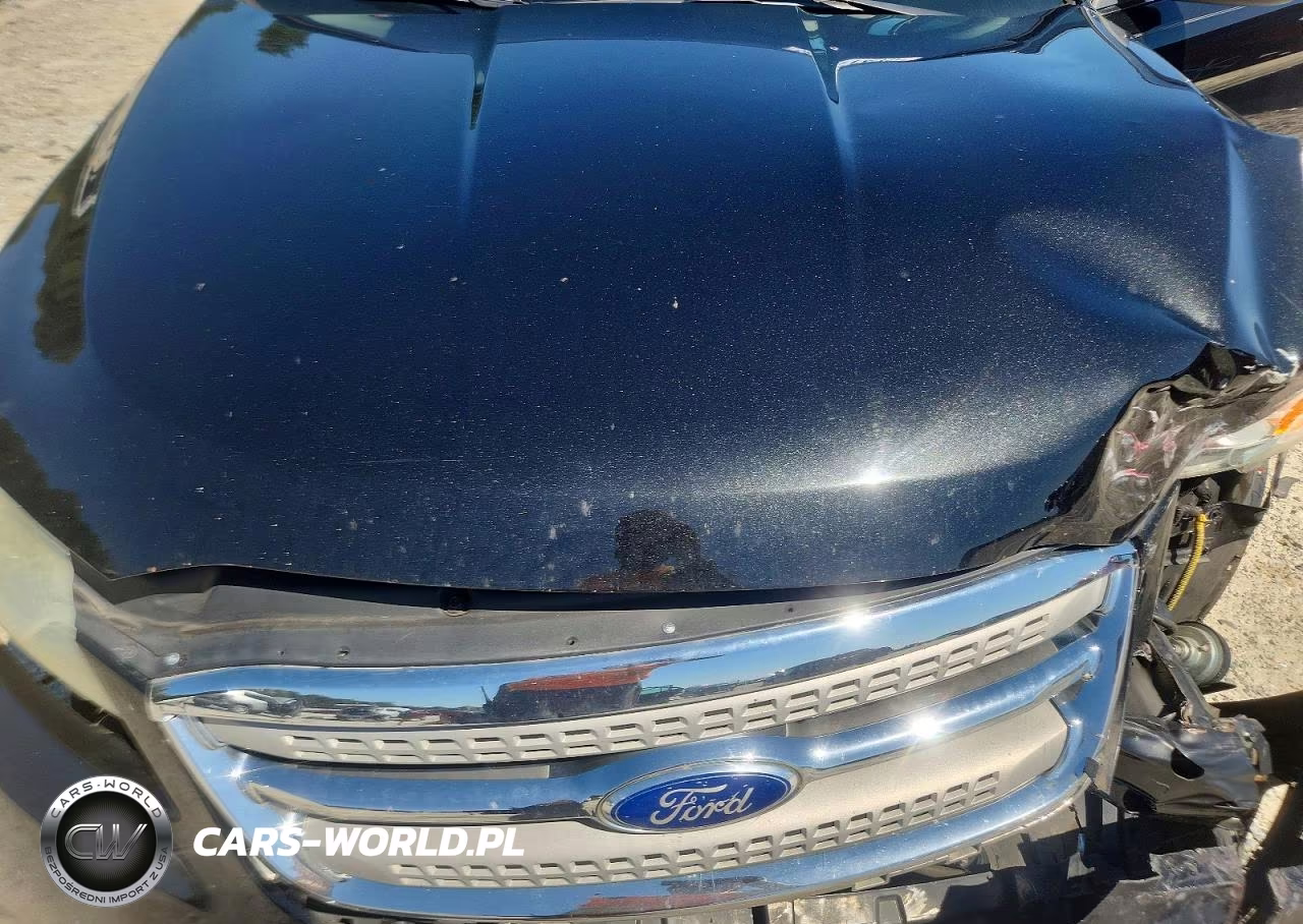 2010 Ford Taurus Limited VIN:1FAHP2FW3AG118791 - 11