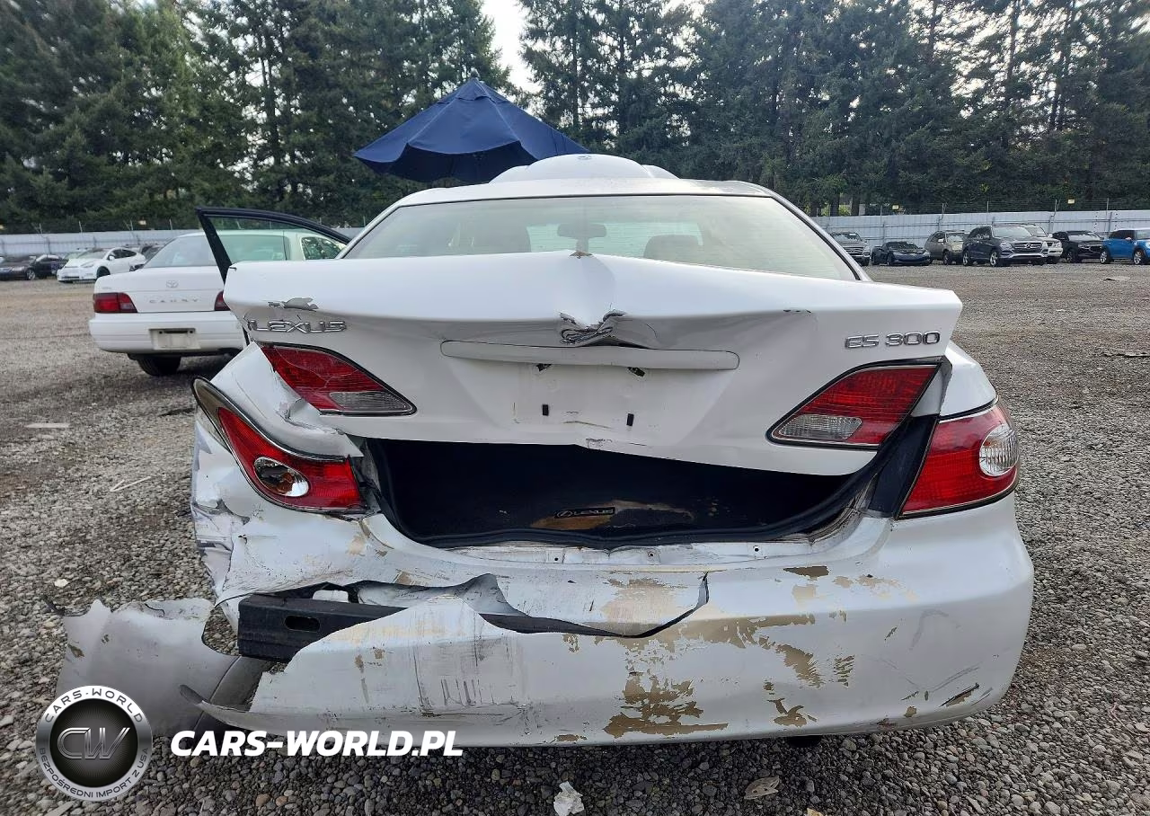 2003 Lexus Es 300 VIN:JTHBF30G630143236 - 6
