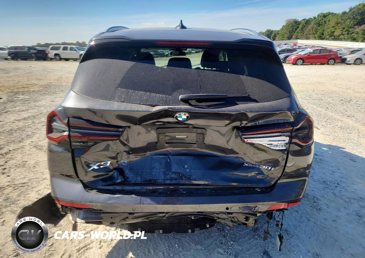 2022 BMW X3 xDrive30I VIN:5UX53DP08N9M34324 - 6