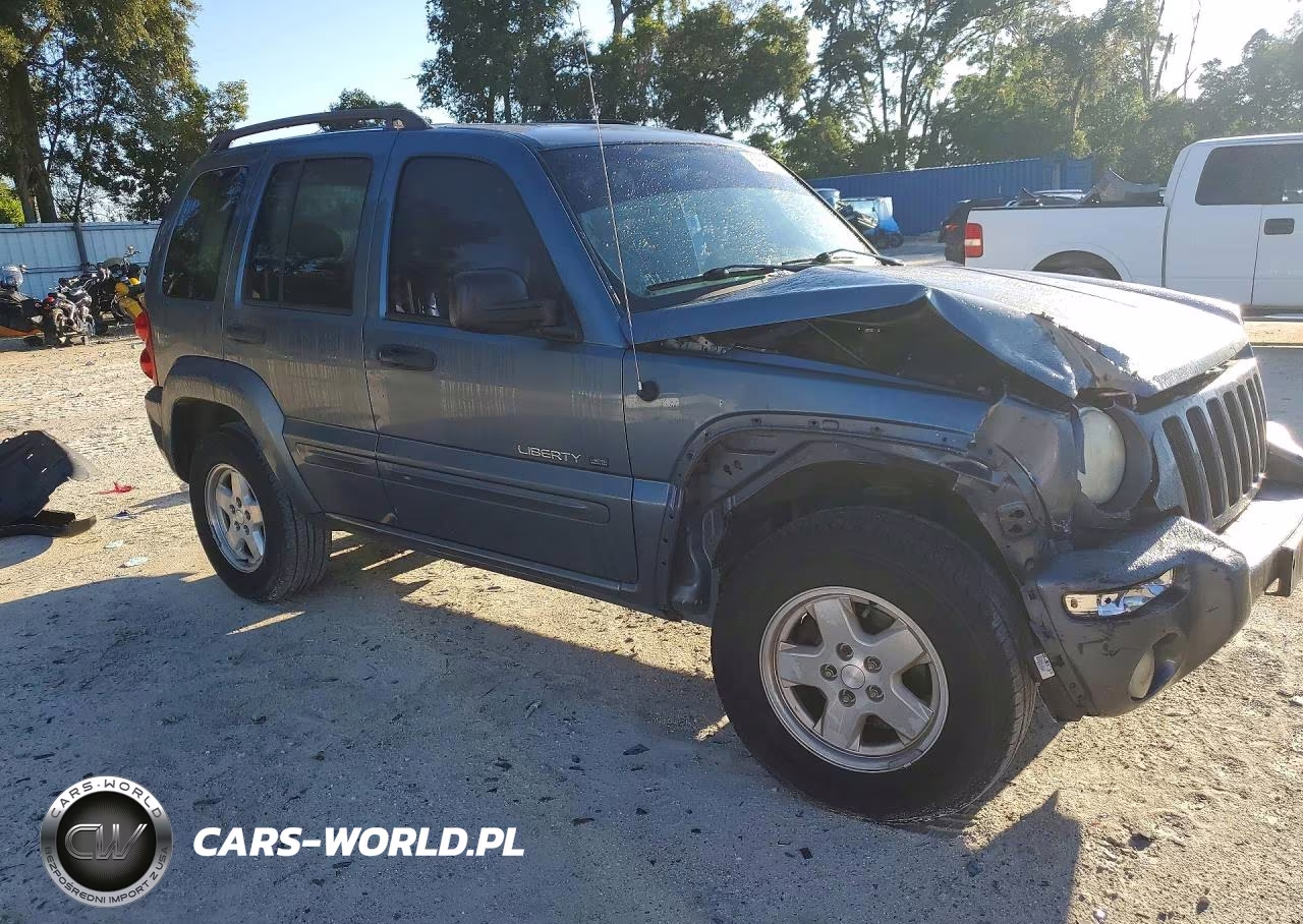 2002 Jeep Liberty Limited VIN:1J4GK58K32W351815 - 4