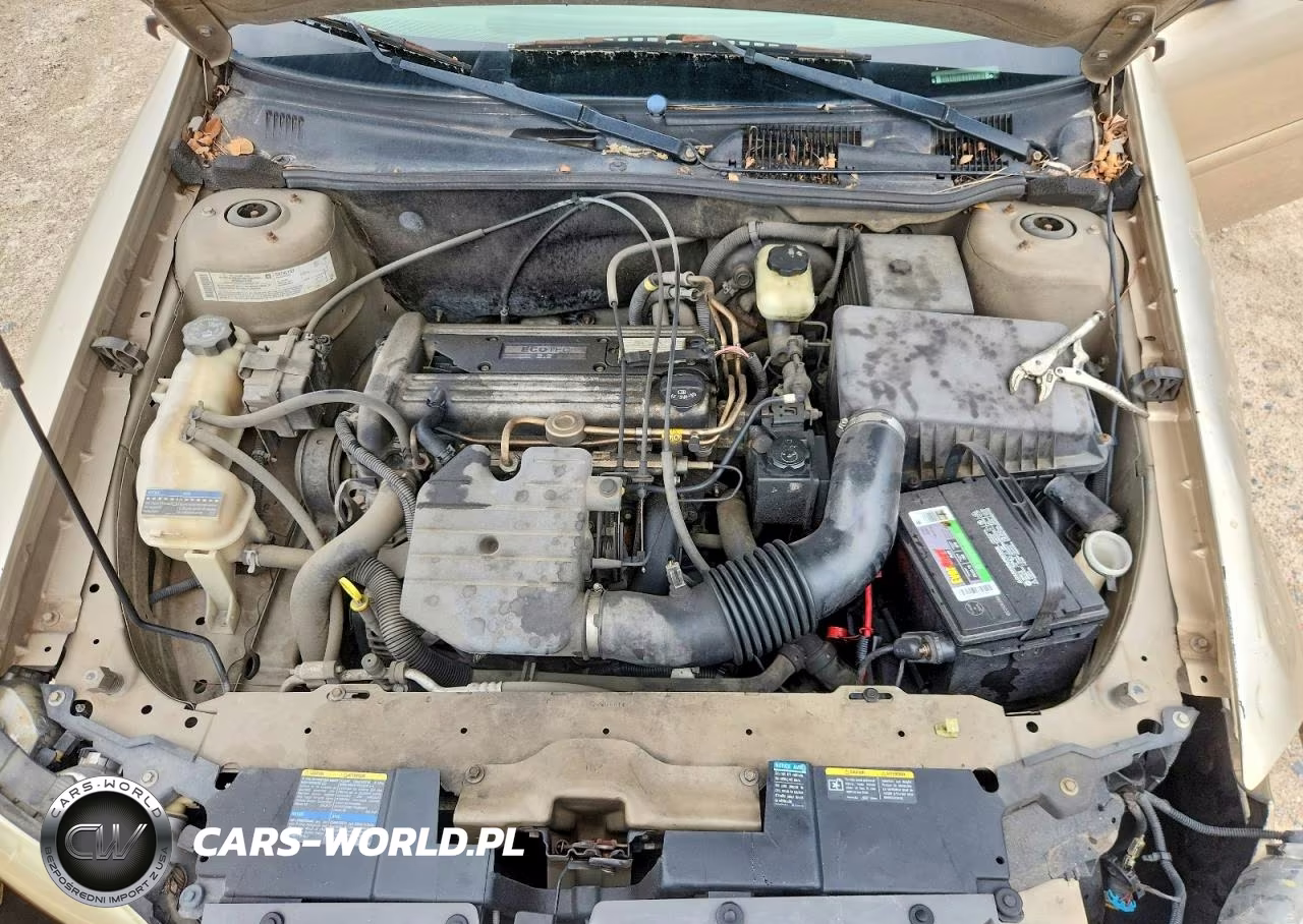 2005 Chevrolet Classic VIN:1G1ND52FX5M229206 - 11