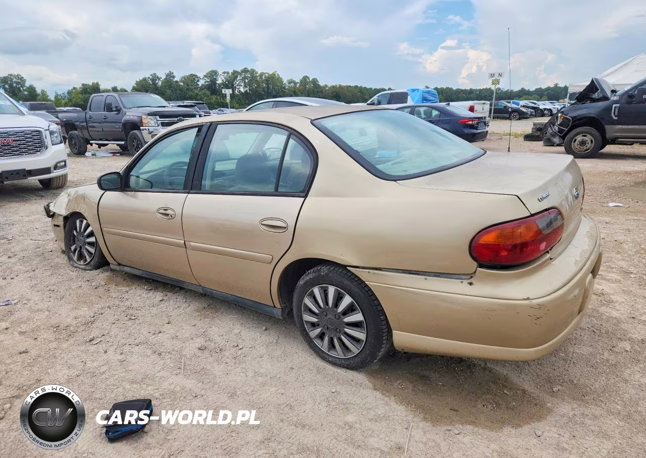 2005 Chevrolet Classic VIN:1G1ND52FX5M229206 - 2