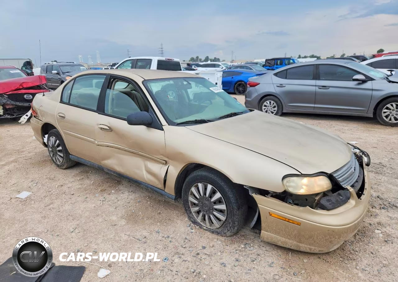 2005 Chevrolet Classic VIN:1G1ND52FX5M229206 - 4