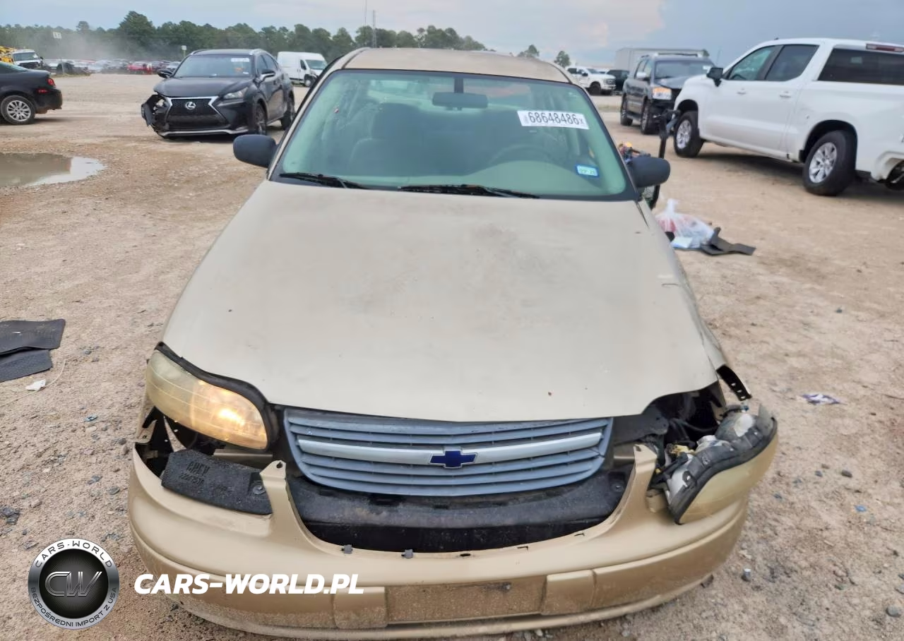 2005 Chevrolet Classic VIN:1G1ND52FX5M229206 - 5