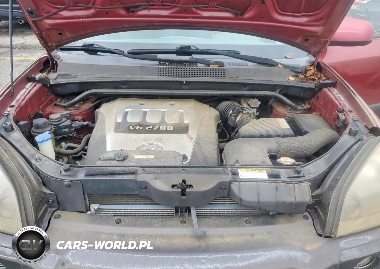 2006 Hyundai Tucson Gls VIN:KM8JN72D76U292189 - 11