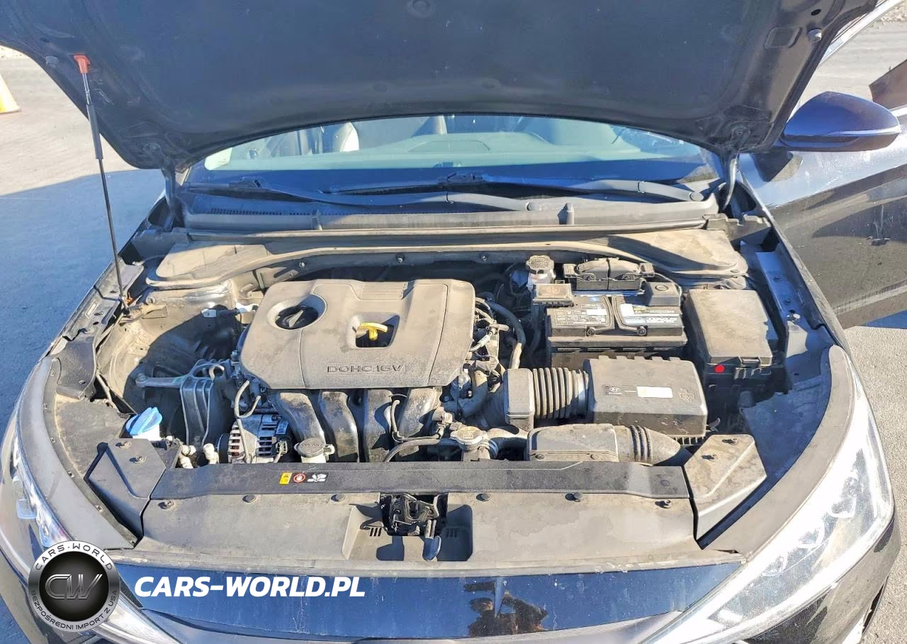 2019 Hyundai Elantra Limited VIN:5NPD84LF2KH484132 - 11
