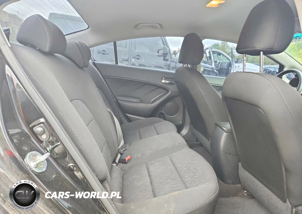 2016 Kia Forte Lx VIN:KNAFK4A65G5614339 - 10