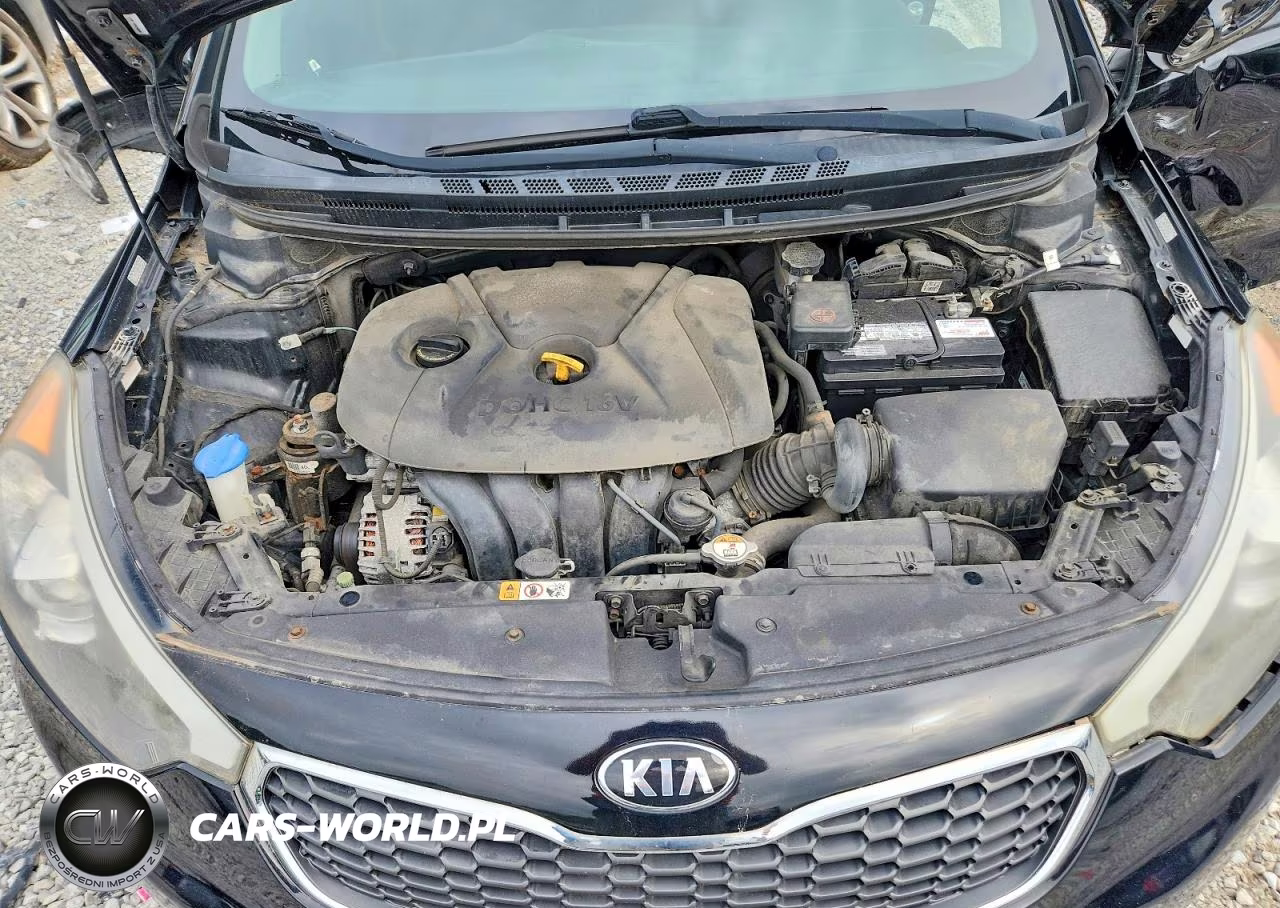 2016 Kia Forte Lx VIN:KNAFK4A65G5614339 - 11