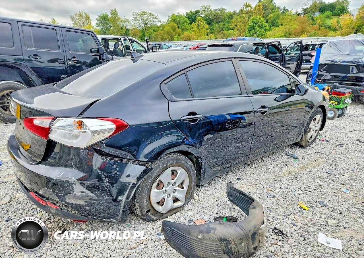 2016 Kia Forte Lx VIN:KNAFK4A65G5614339 - 3