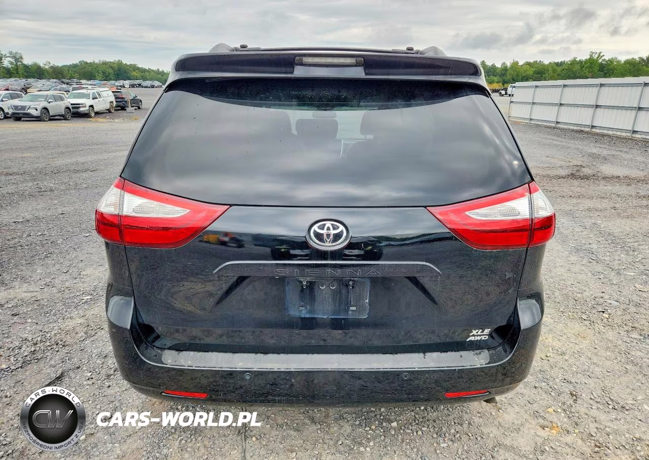 2016 Toyota Sienna Xle Premium 7-Passenger VIN:5TDDK3DC7GS135081 - 6