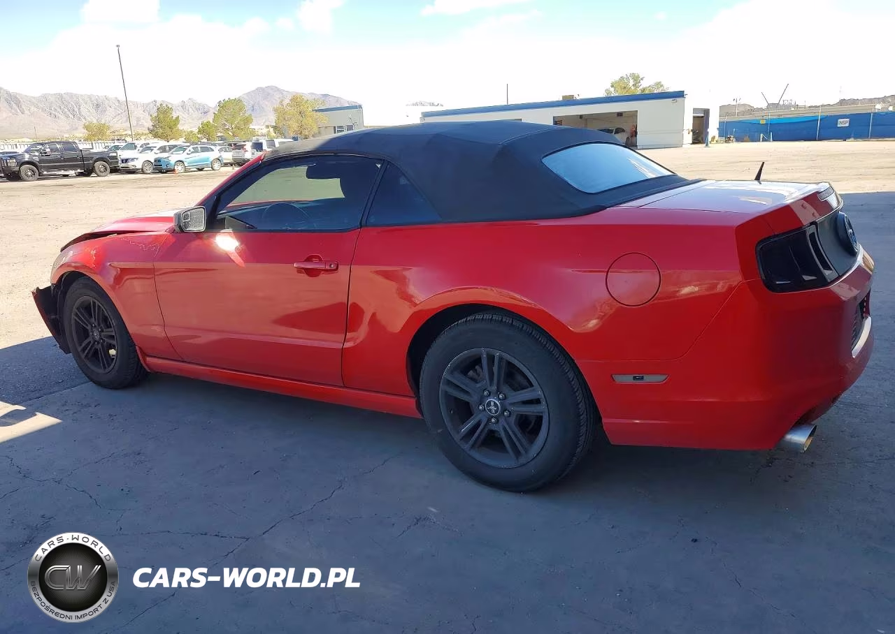 2013 Ford Mustang VIN:1ZVBP8EM4D5209875 - 2