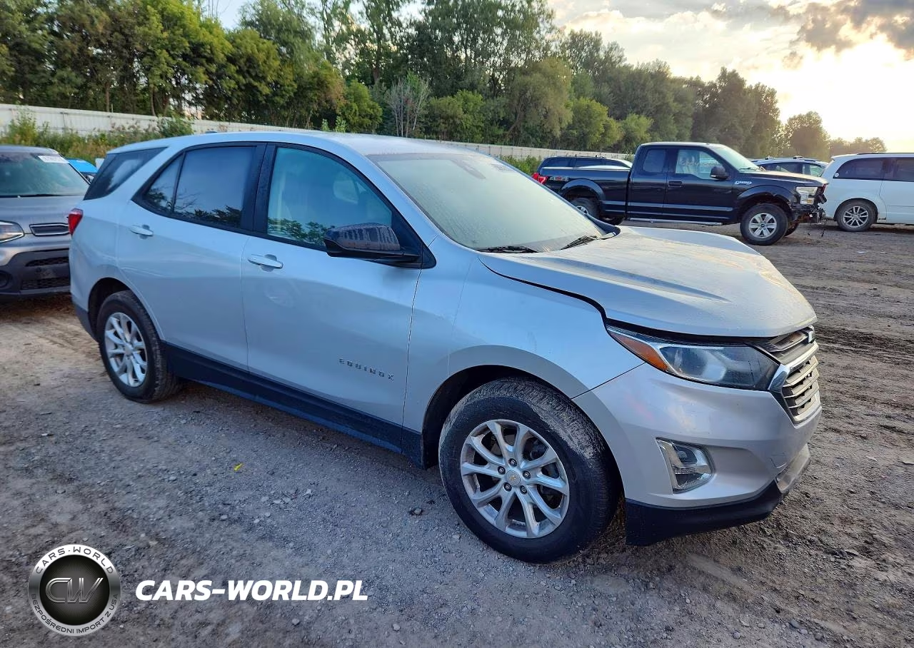 2020 Chevrolet Equinox Ls VIN:2GNAXHEV5L6108605 - 4