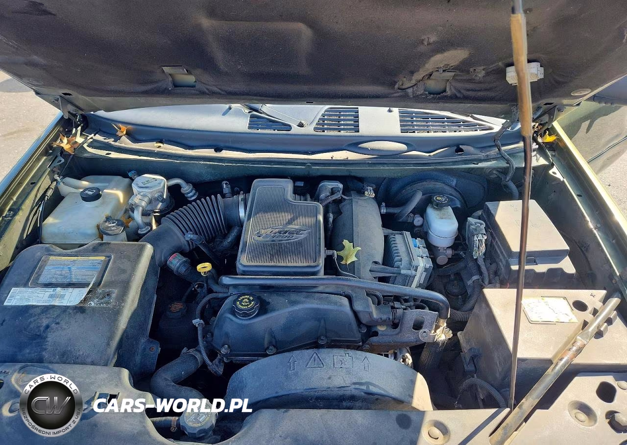 2002 Chevrolet Trailblazer VIN:1GNDT13S622298466 - 12