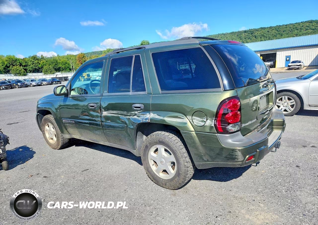 2002 Chevrolet Trailblazer VIN:1GNDT13S622298466 - 2