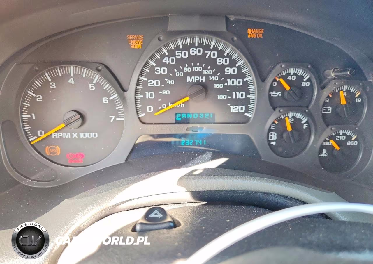 2002 Chevrolet Trailblazer VIN:1GNDT13S622298466 - 9