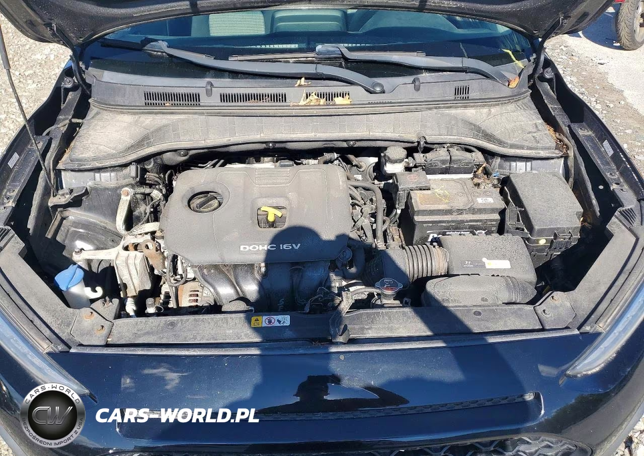 2019 Hyundai Kona Se VIN:KM8K1CAA9KU217181 - 12