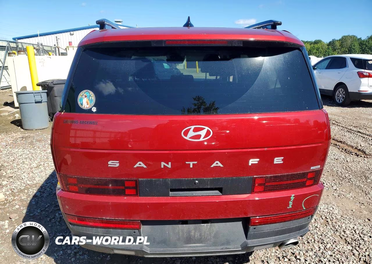 2025 Hyundai Santa Fe Sel VIN:5NMP2DGL5SH126731 - 6
