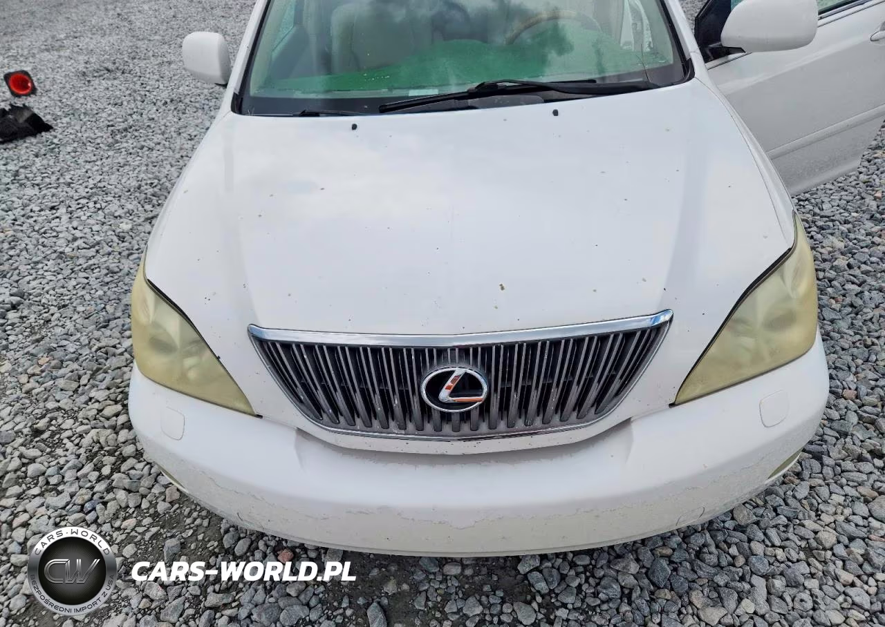 2004 Lexus Rx 330 VIN:2T2GA31U94C004649 - 11